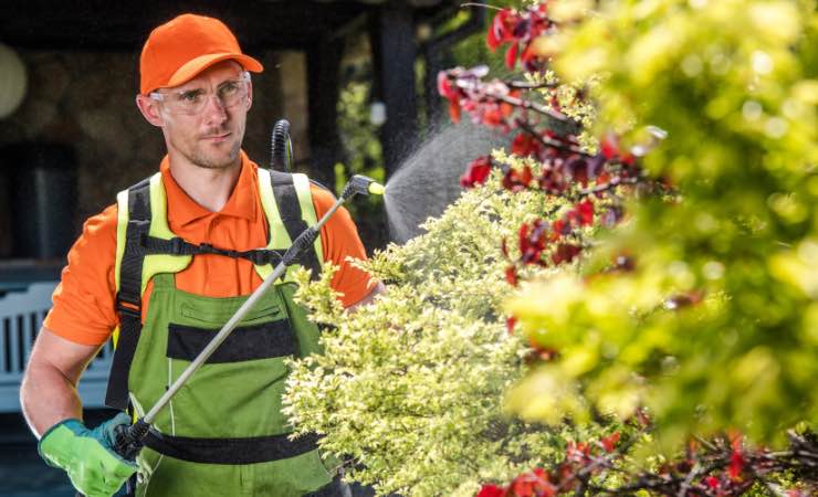 Mai esagerare con i fertilizzanti per le piante