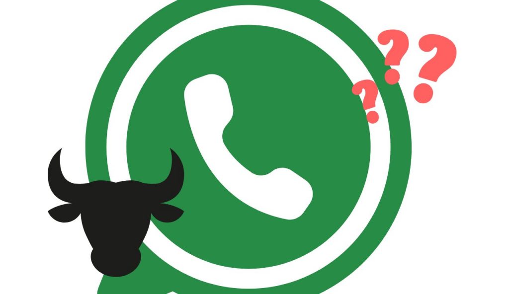 Grande novità WhatsApp: ora tutti abbiamo la modalità TORO | Come si attiva e a cosa serve